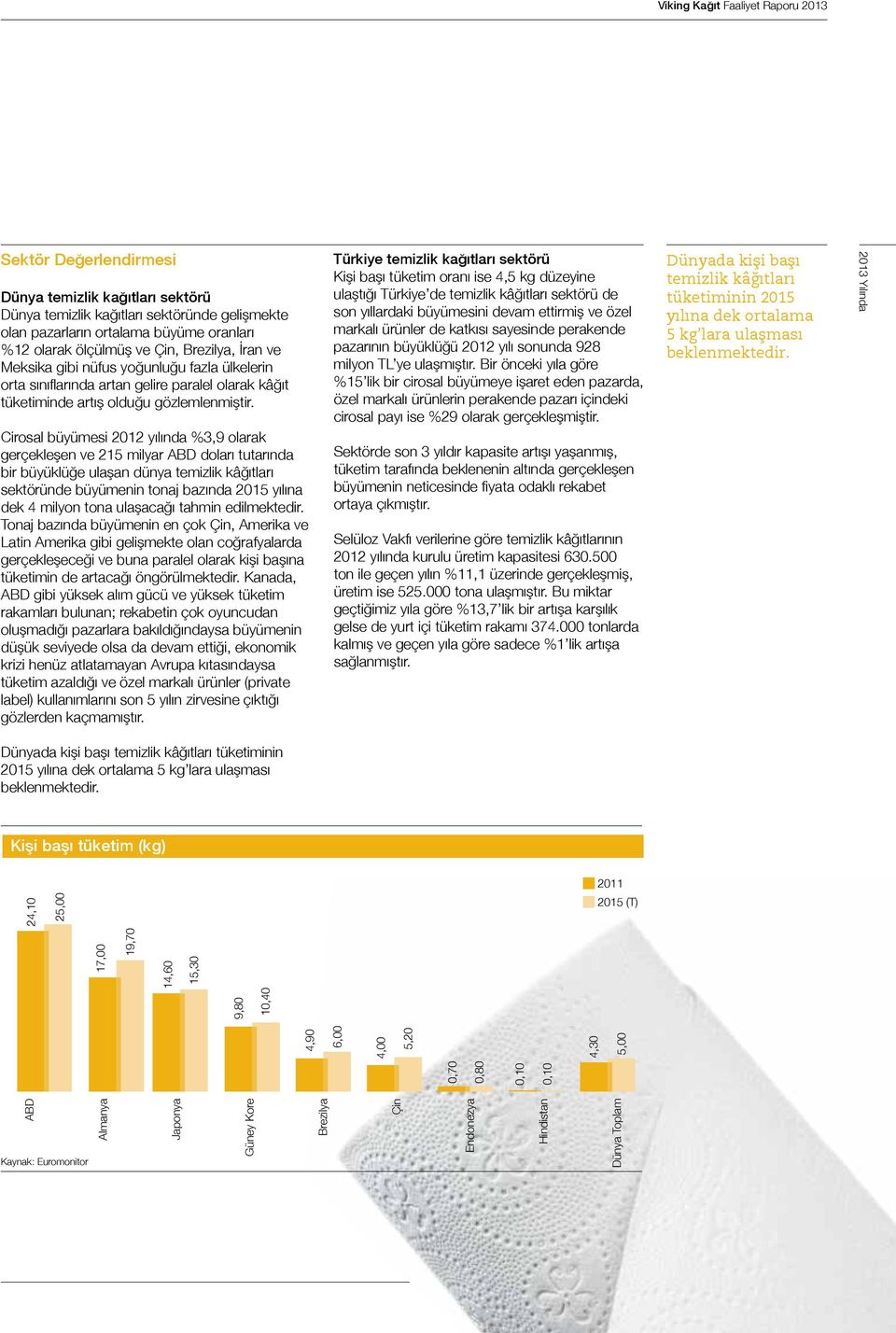 Cirosal büyümesi 2012 yılında %3,9 olarak gerçekleşen ve 215 milyar ABD doları tutarında bir büyüklüğe ulaşan dünya temizlik kâğıtları sektöründe büyümenin tonaj bazında 2015 yılına dek 4 milyon tona