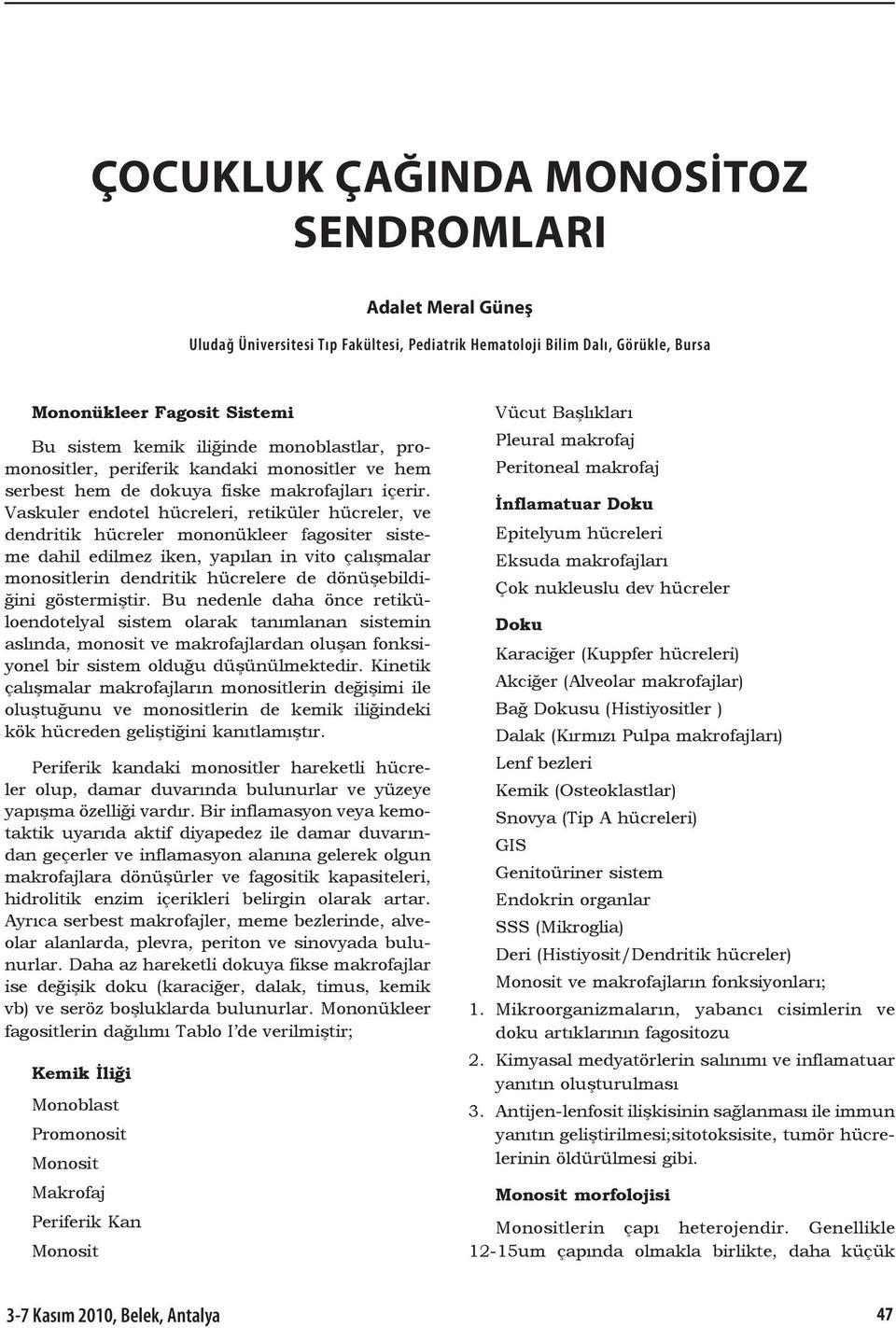 Vaskuler endotel hücreleri, retiküler hücreler, ve dendritik hücreler mononükleer fagositer sisteme dahil edilmez iken, yapılan in vito çalışmalar monositlerin dendritik hücrelere de dönüşebildiğini