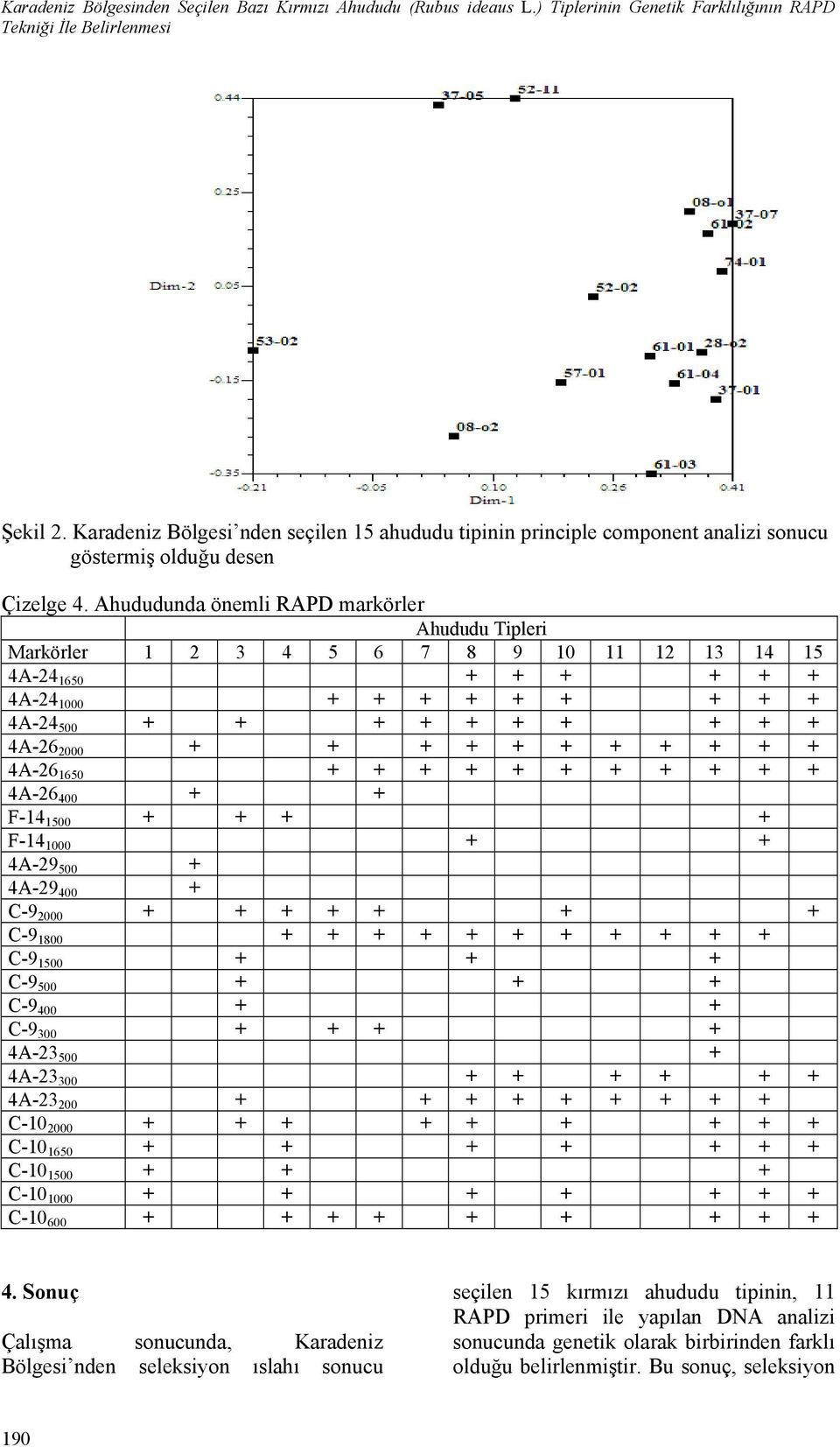 Ahududunda önemli RAPD markörler Ahududu Tipleri Markörler 1 2 3 4 5 6 7 8 9 10 11 12 13 14 15 4A-24 1650 + + + + + + 4A-24 1000 + + + + + + + + + 4A-24 500 + + + + + + + + + + 4A-26 2000 + + + + + +