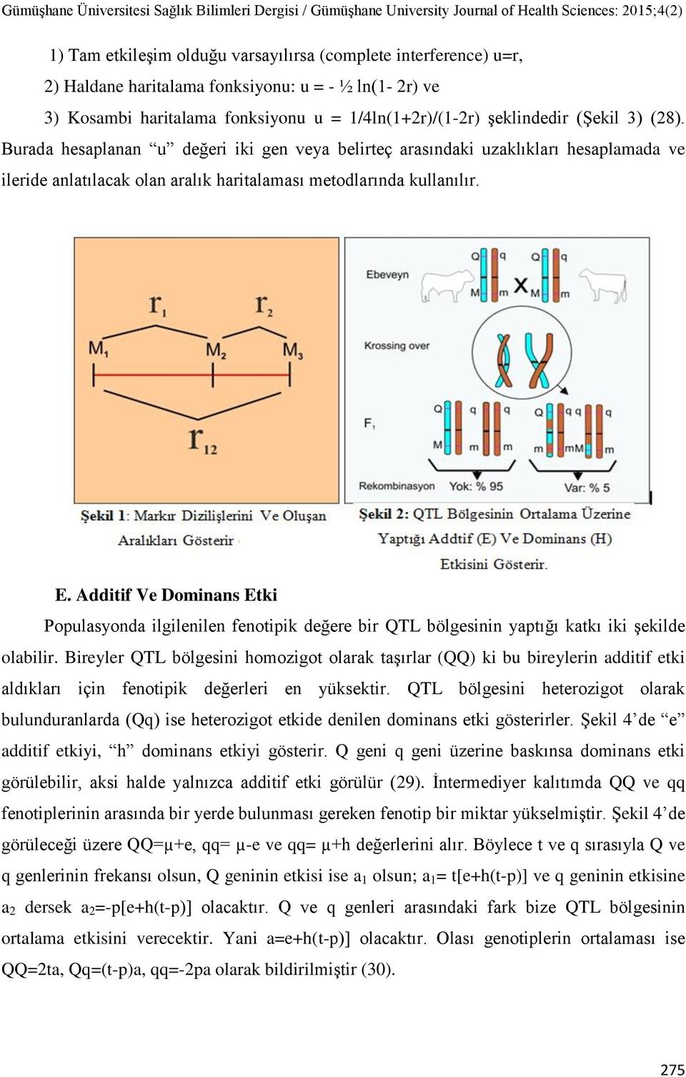 Additif Ve Dominans Etki Populasyonda ilgilenilen fenotipik değere bir QTL bölgesinin yaptığı katkı iki şekilde olabilir.