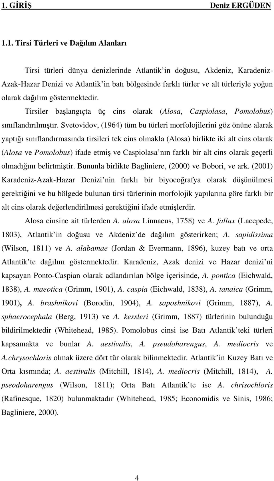 Svetovidov, (1964) tüm bu türleri morfolojilerini göz önüne alarak yaptığı sınıflandırmasında tirsileri tek cins olmakla (Alosa) birlikte iki alt cins olarak (Alosa ve Pomolobus) ifade etmiş ve