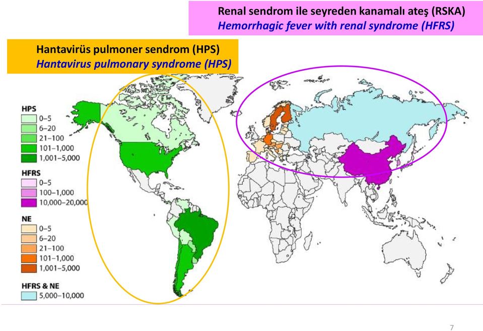 Renal sendrom ile seyreden kanamalı ateş