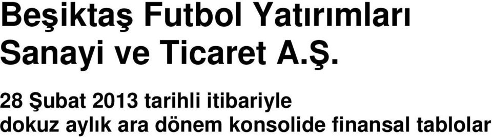 28 Şubat 2013 tarihli itibariyle