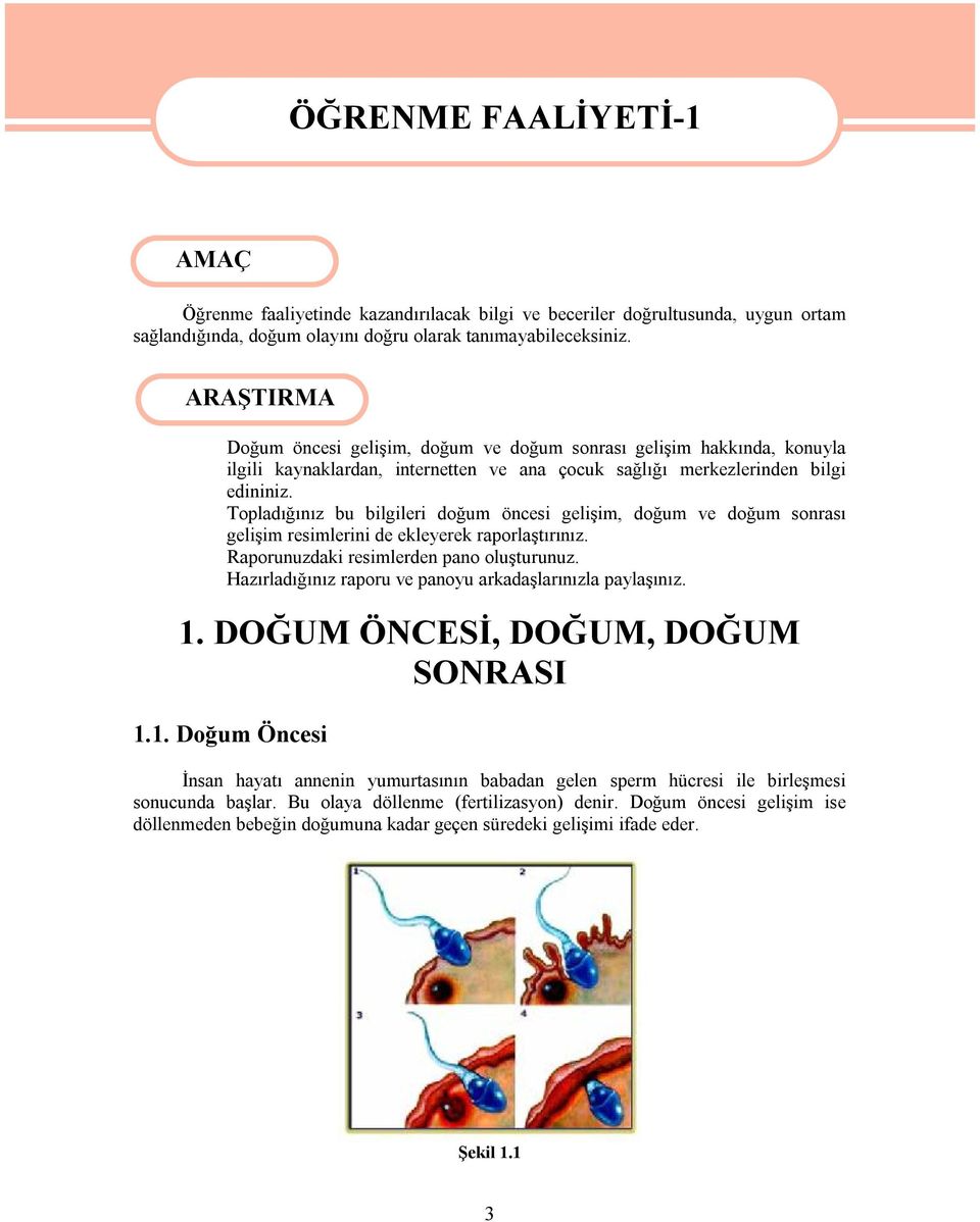 Topladığınız bu bilgileri doğum öncesi gelişim, doğum ve doğum sonrası gelişim resimlerini de ekleyerek raporlaştırınız. Raporunuzdaki resimlerden pano oluşturunuz.