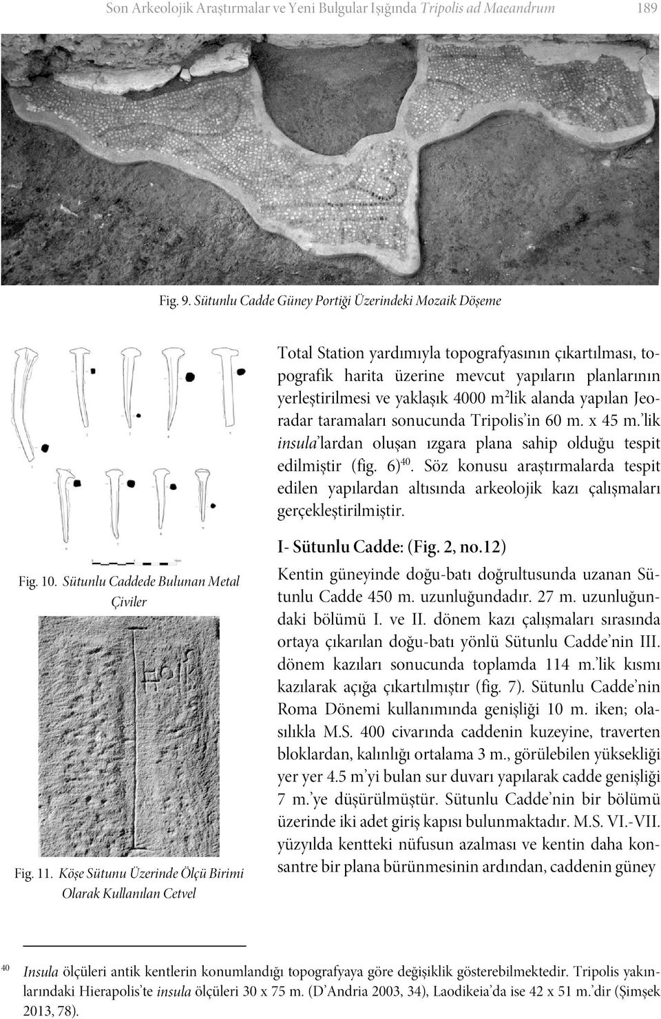 lik alanda yapılan Jeoradar taramaları sonucunda Tripolis in 60 m. x 45 m. lik insula lardan oluşan ızgara plana sahip olduğu tespit edilmiştir (fig. 6) 40.