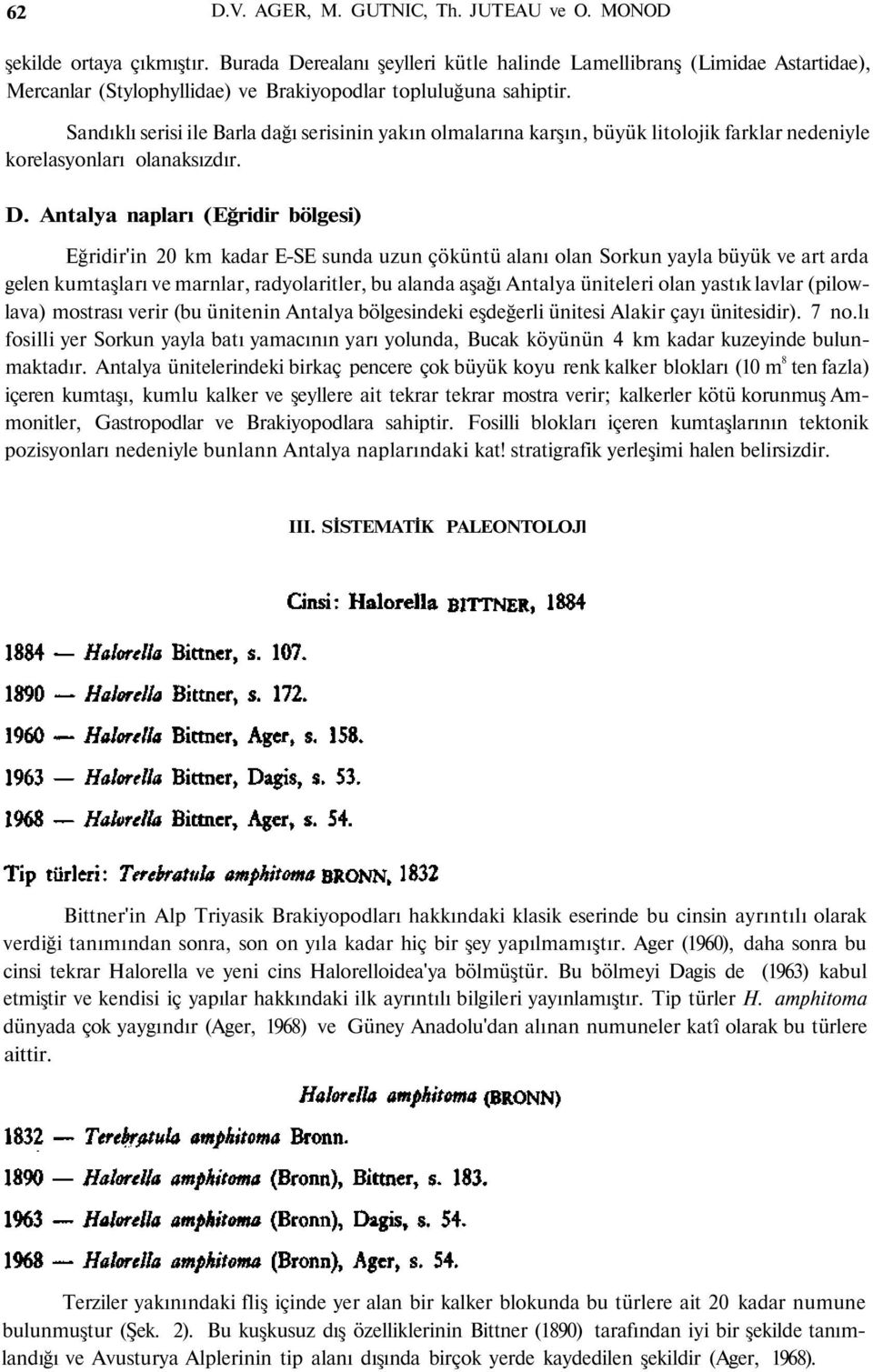 Sandıklı serisi ile Barla dağı serisinin yakın olmalarına karşın, büyük litolojik farklar nedeniyle korelasyonları olanaksızdır. D.