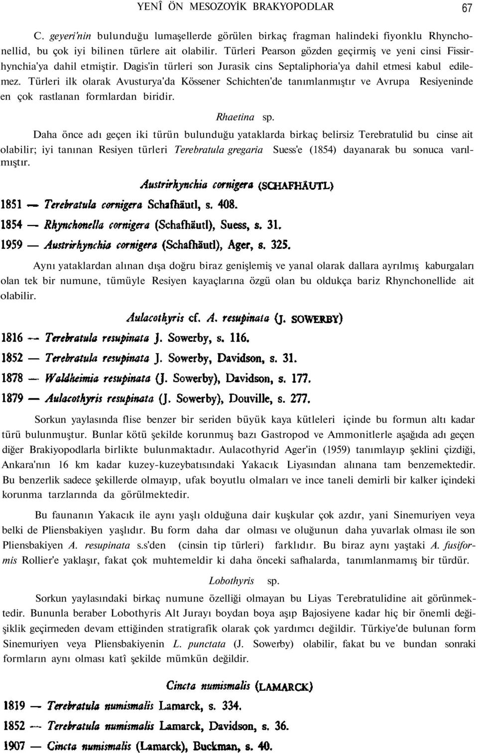 Türleri ilk olarak Avusturya'da Kössener Schichten'de tanımlanmıştır ve Avrupa Resiyeninde en çok rastlanan formlardan biridir. Rhaetina sp.