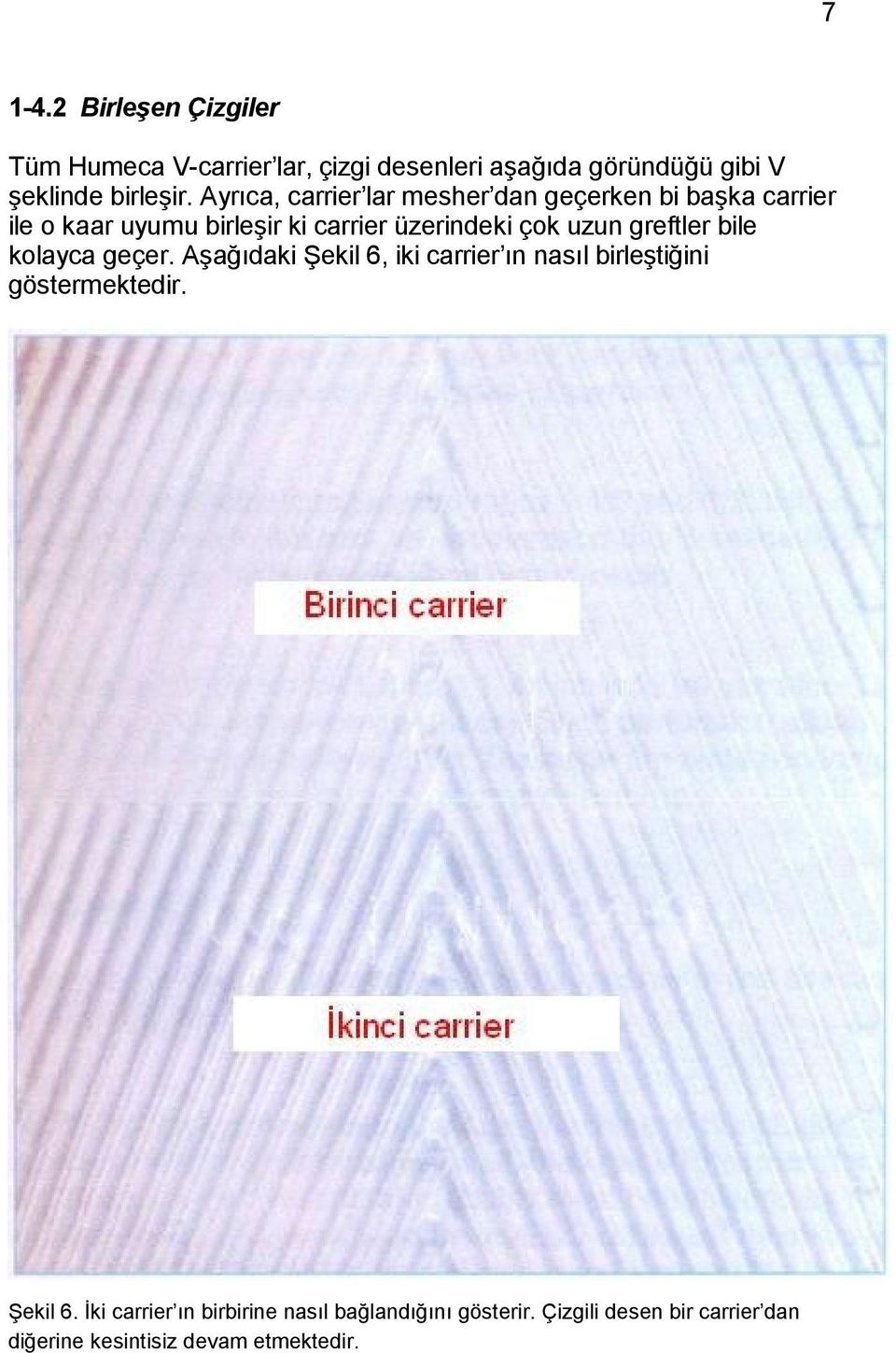 greftler bile kolayca geçer. Aşağıdaki Şekil 6, iki carrier ın nasıl birleştiğini göstermektedir. Şekil 6. Đki carrier ın birbirine nasıl bağlandığını gösterir.