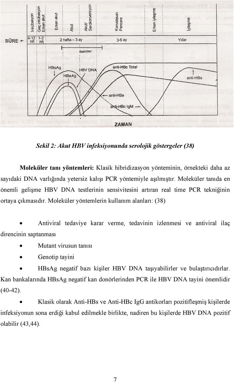 Moleküler yöntemlerin kullanım alanları: (38) Antiviral tedaviye karar verme, tedavinin izlenmesi ve antiviral ilaç direncinin saptanması Mutant virusun tanısı Genotip tayini HBsAg negatif bazı