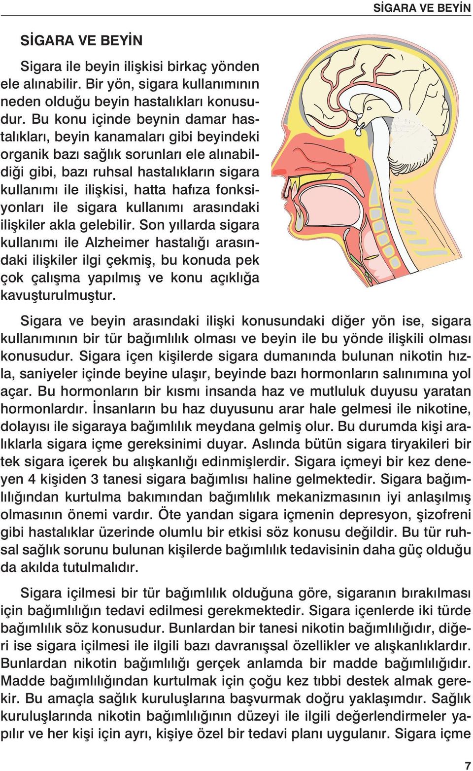 fonksiyonları ile sigara kullanımı arasındaki ilişkiler akla gelebilir.