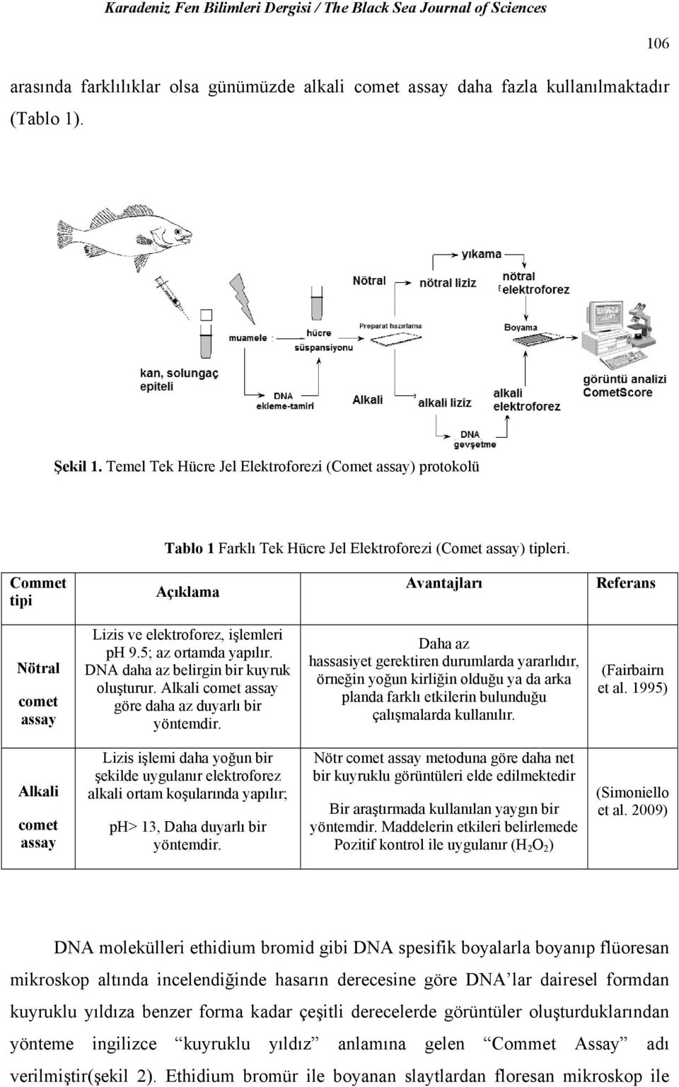 Commet tipi Açıklama Avantajları Referans Nötral comet assay Lizis ve elektroforez, işlemleri ph 9.5; az ortamda yapılır. DNA daha az belirgin bir kuyruk oluşturur.