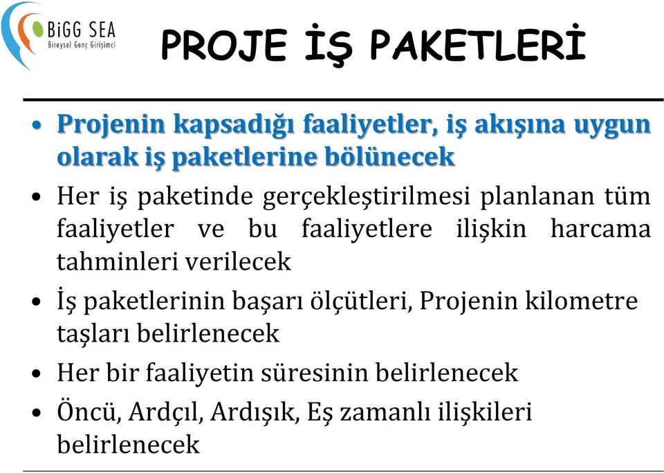 ilişkin harcama tahminleri verilecek İş paketlerinin başarı ölçütleri, Projenin kilometre taşları