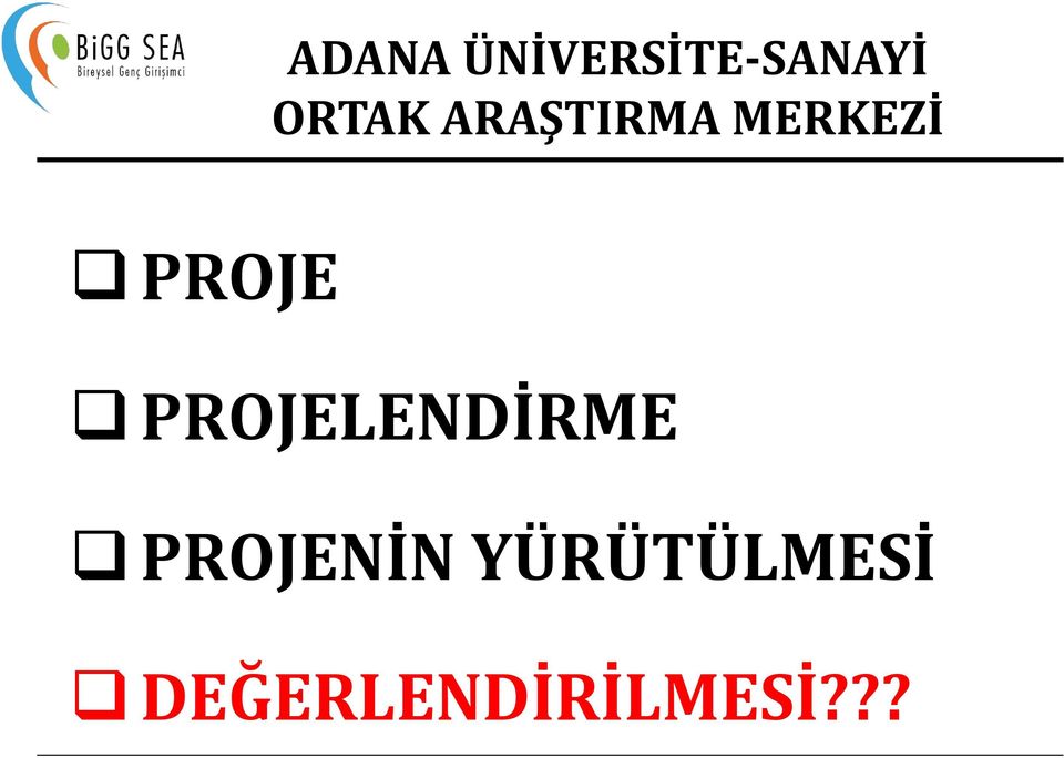 PROJE PROJELENDİRME