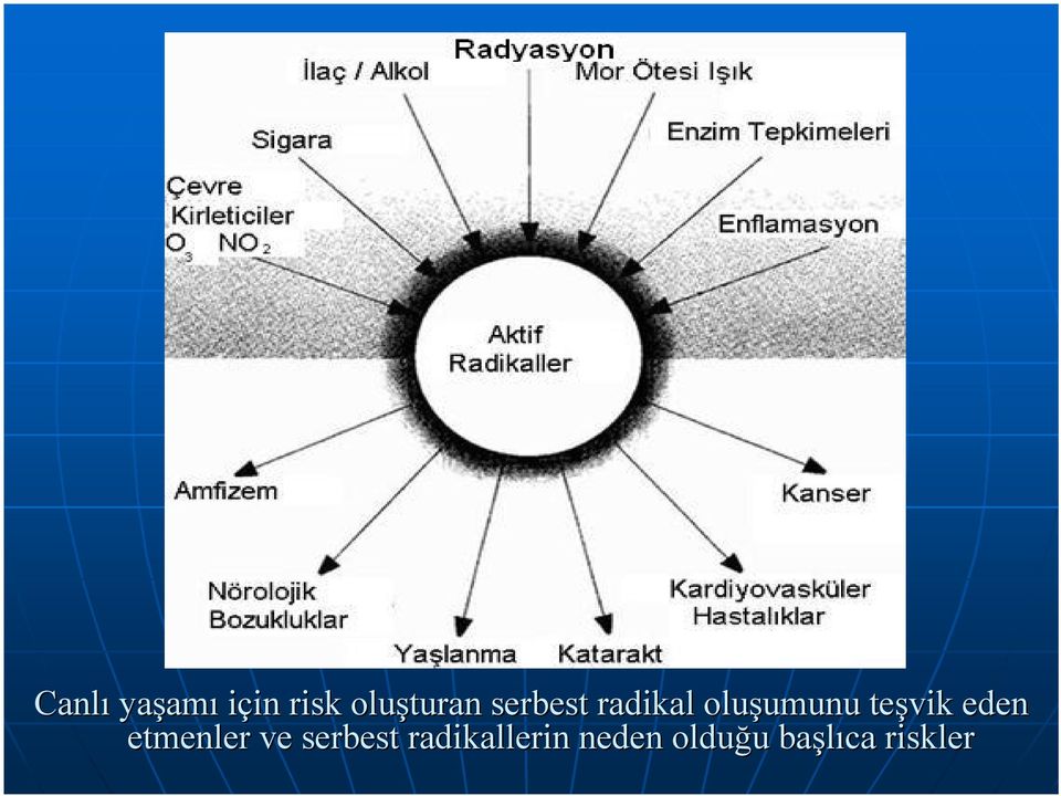 umunu teşvik eden etmenler ve