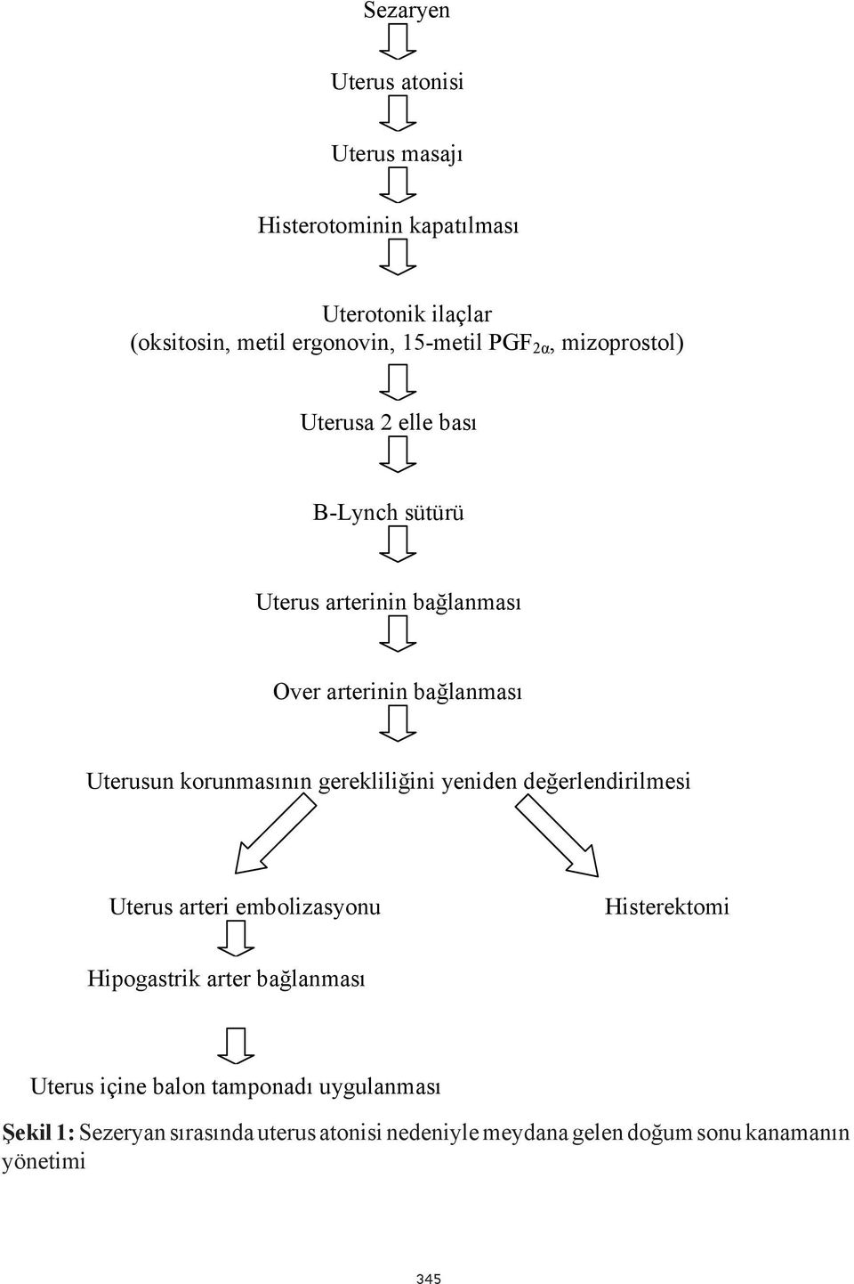 gerekliliğini yeniden değerlendirilmesi Uterus arteri embolizasyonu Histerektomi Hipogastrik arter bağlanması Uterus içine