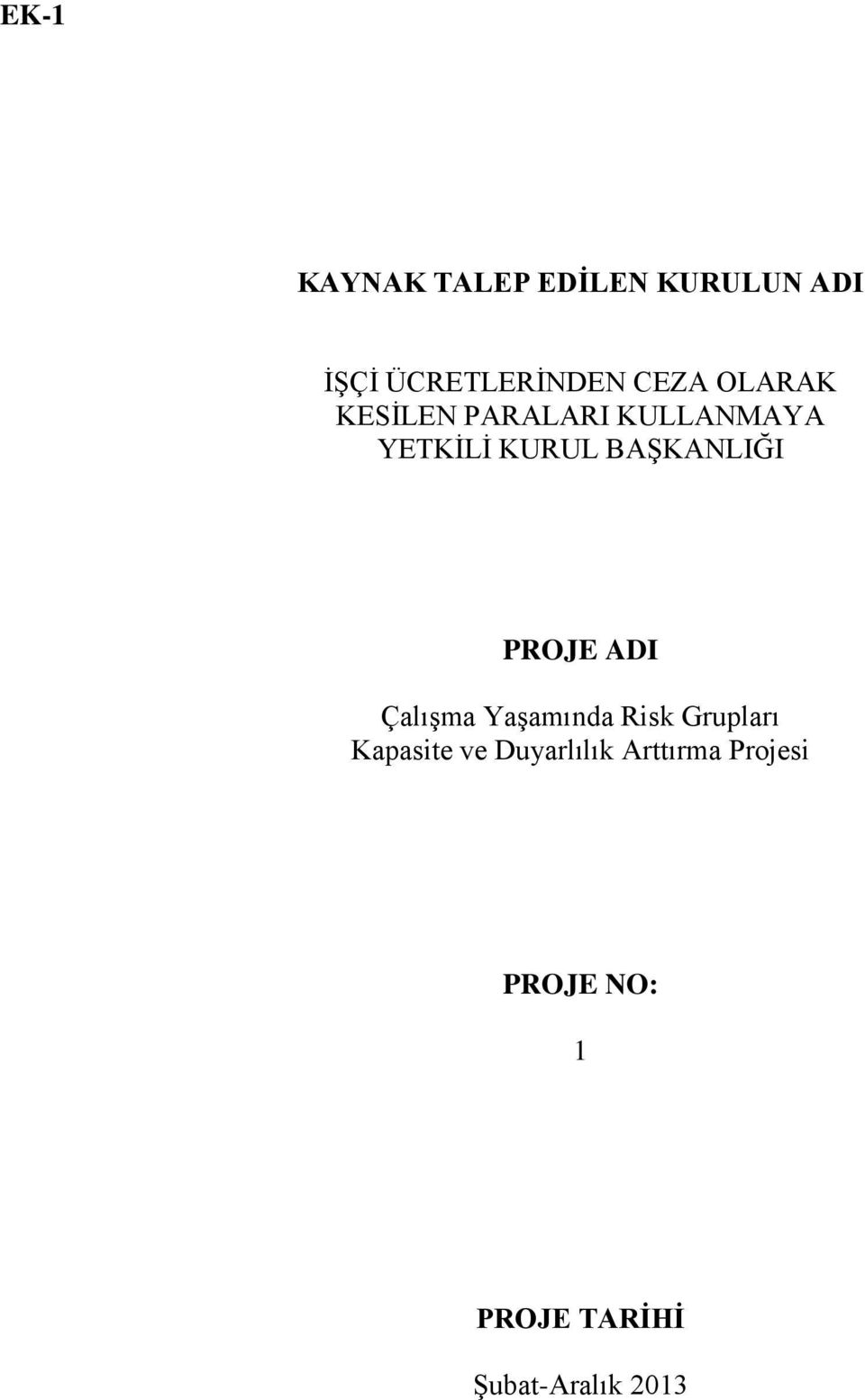 PROJE ADI Çalışma Yaşamında Risk Grupları Kapasite ve