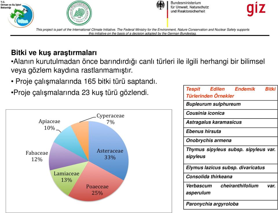 Tespit Edilen Endemik Bitki Türlerinden Örnekler Bupleurum sulphureum Cousinia iconica Astragalus karamasicus Ebenus hirsuta Onobrychis