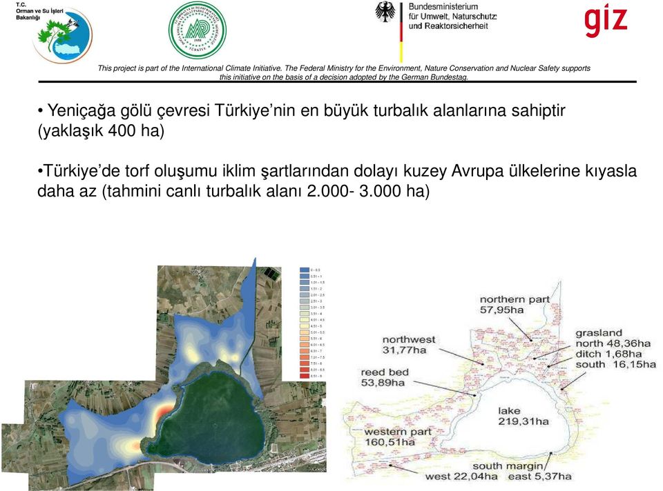 oluşumu iklim şartlarından dolayı kuzey Avrupa ülkelerine