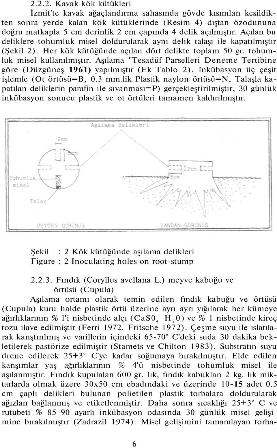 Aşılama "Tesadüf Parselleri Deneme Tertibine göre (Düzgüneş 1961) yapılmıştır (Ek Tablo 2). înkübasyon üç çeşit işlemle (Ot örtüsü=b, 0.3 mm.