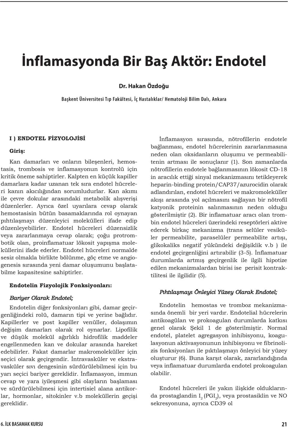 inflamasyonun kontrolü için kritik öneme sahiptirler. Kalpten en küçük kapiller damarlara kadar uzanan tek sıra endotel hücreleri kanın akıcılı ından sorumludurlar.