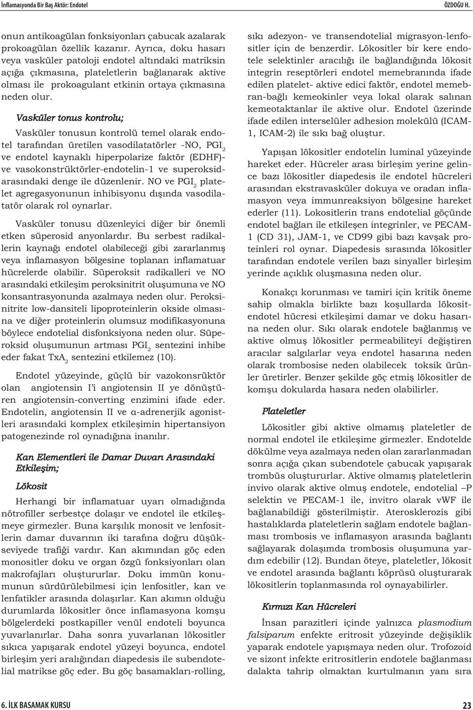 Vasküler tonus kontrolu; Vasküler tonusun kontrolü temel olarak endotel tarafından üretilen vasodilatatörler -NO, PGI 2 ve endotel kaynaklı hiperpolarize faktör (EDHF)- ve