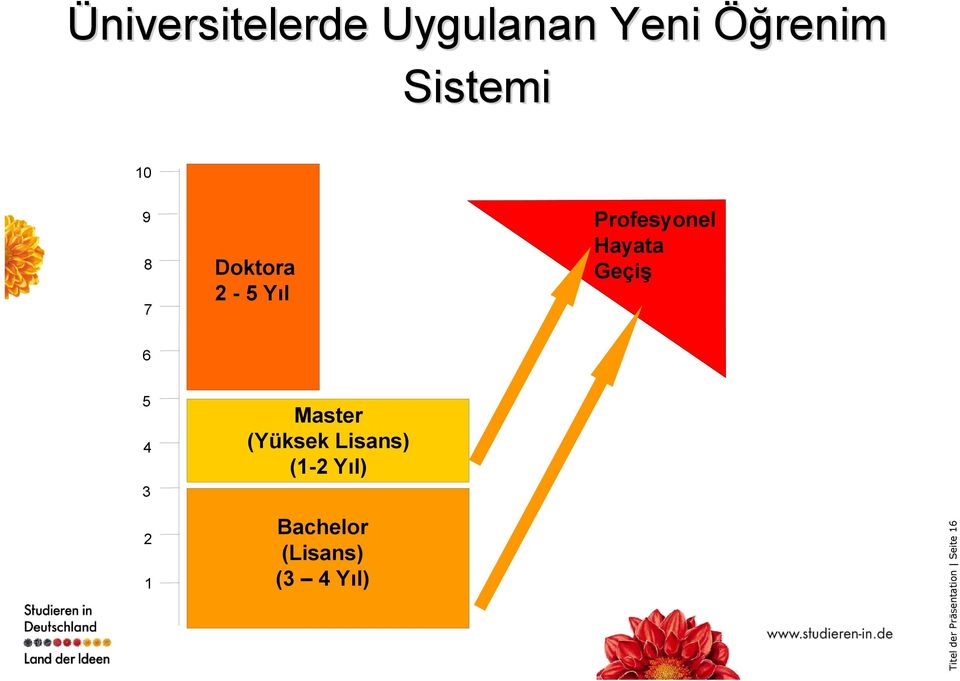 4 3 Master (Yüksek Lisans) (1-2 Yıl) 2 1 Bachelor