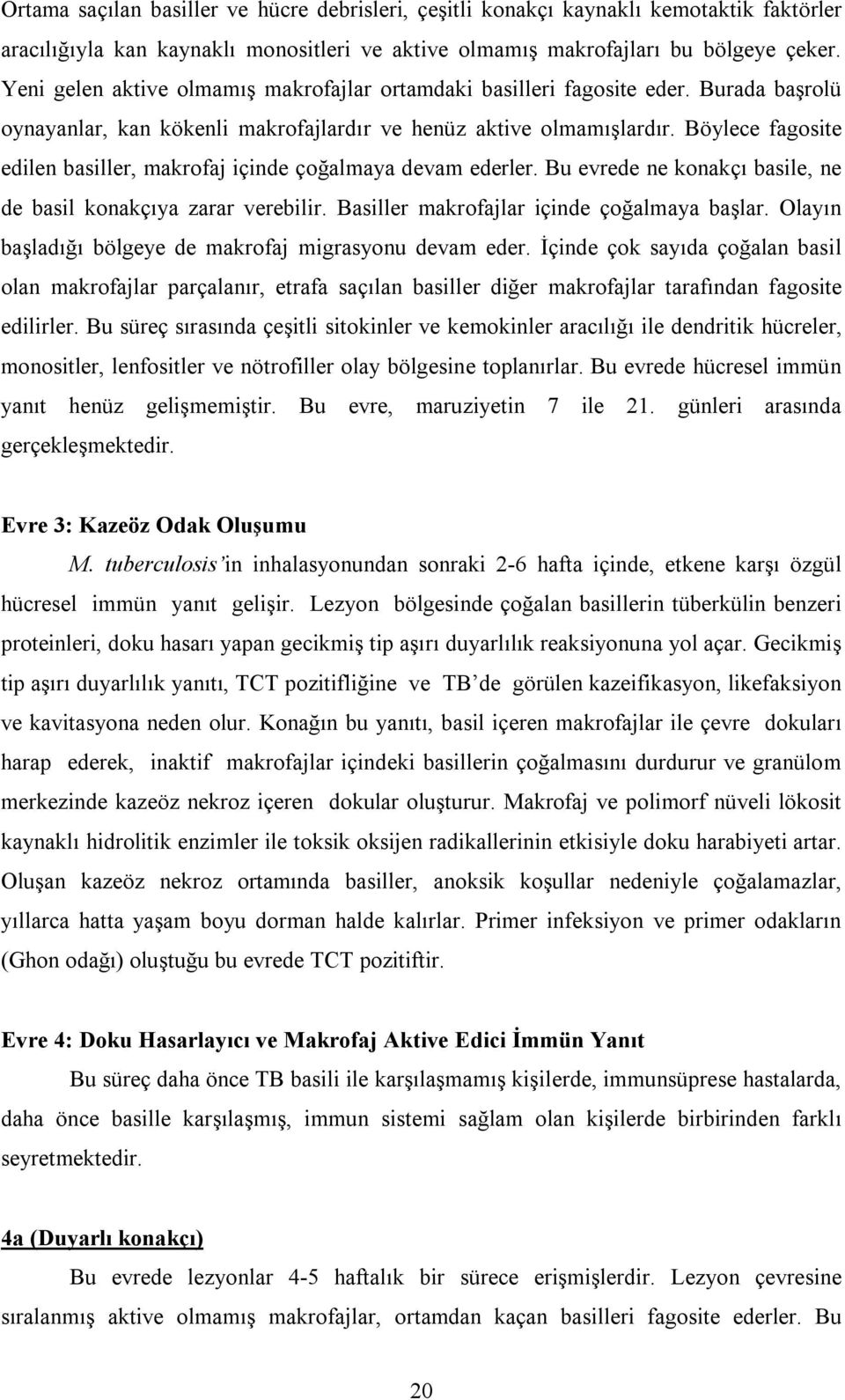 Böylece fagosite edilen basiller, makrofaj içinde çoğalmaya devam ederler. Bu evrede ne konakçı basile, ne de basil konakçıya zarar verebilir. Basiller makrofajlar içinde çoğalmaya başlar.