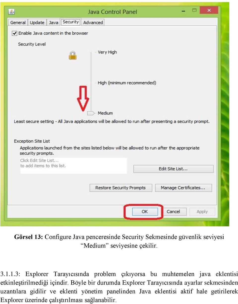 1.3: Explorer Tarayıcısında problem çıkıyorsa bu muhtemelen java eklentisi etkinleştirilmediği