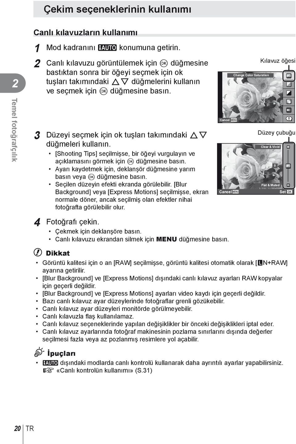 Change Color Saturation Kılavuz öğesi Temel fotoğrafçılık 3 Düzeyi seçmek için ok tuşları takımındaki FG düğmeleri kullanın.