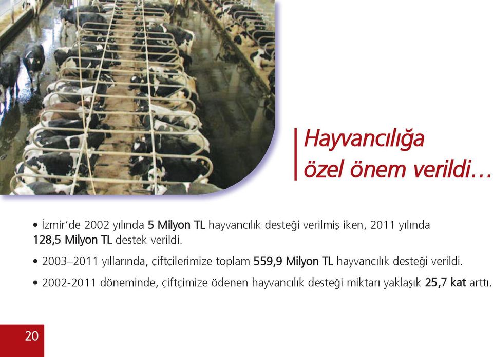 2003 2011 yıllarında, çiftçilerimize toplam 559,9 Milyon TL hayvancılık desteği