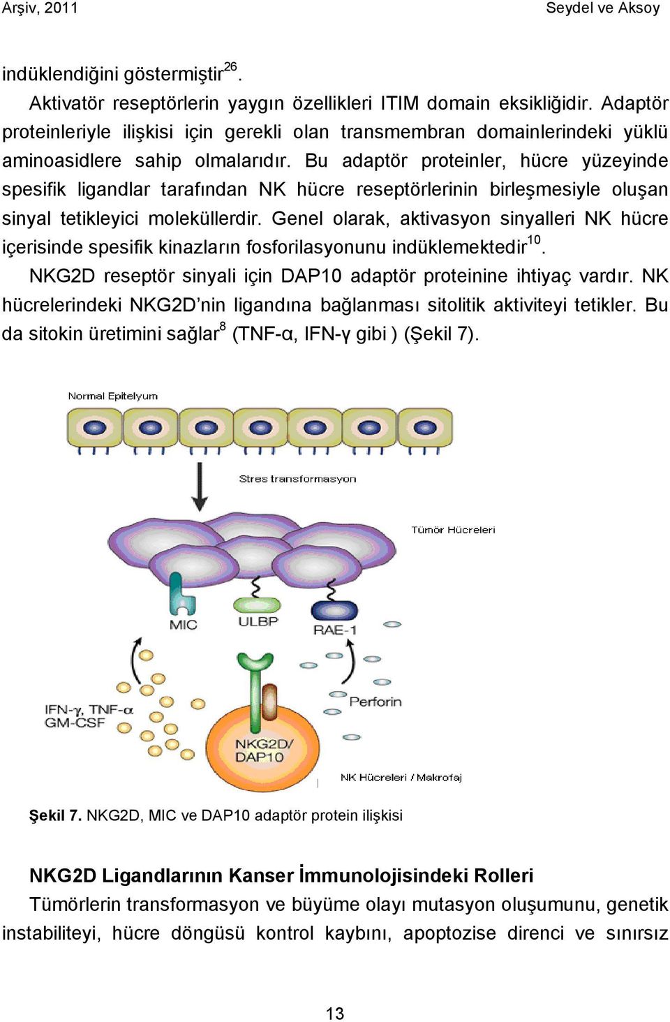 Bu adaptör proteinler, hücre yüzeyinde spesifik ligandlar tarafından NK hücre reseptörlerinin birleşmesiyle oluşan sinyal tetikleyici moleküllerdir.