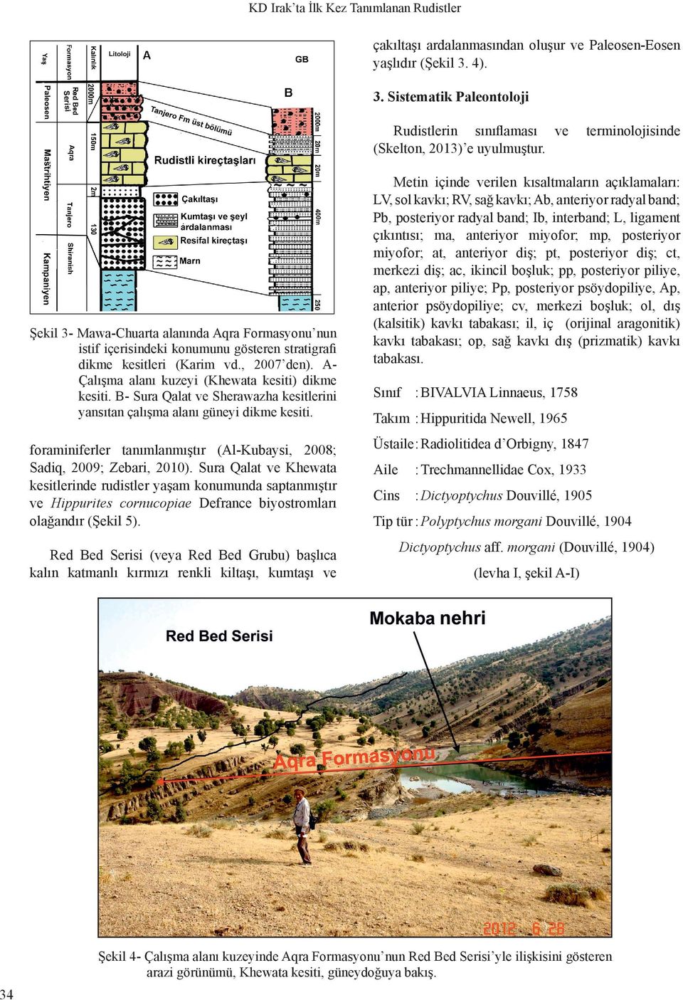 B- Sura Qalat ve Sherawazha kesitlerini yansıtan çalışma alanı güneyi dikme kesiti. foraminiferler tanımlanmıştır (Al-Kubaysi, 2008; Sadiq, 2009; Zebari, 2010).