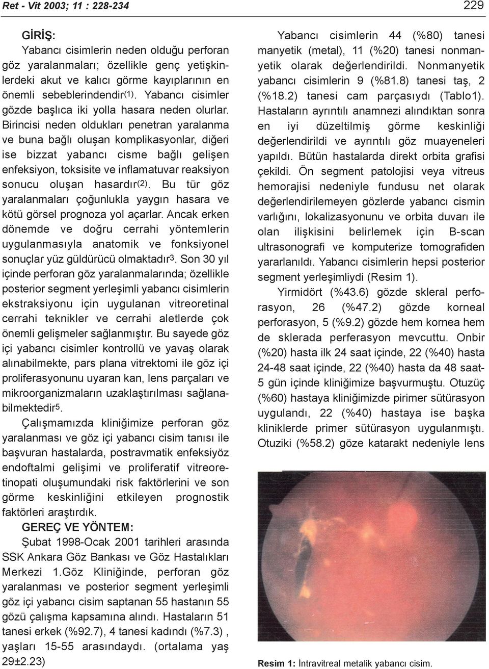 Birincisi neden olduklarý penetran yaralanma ve buna baðlý oluþan komplikasyonlar, diðeri ise bizzat yabancý cisme baðlý geliþen enfeksiyon, toksisite ve inflamatuvar reaksiyon sonucu oluþan