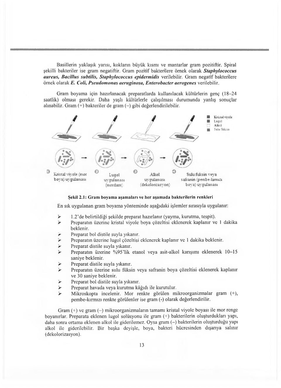 Coli, Pseudomonas aeruginosa, Etıterobacter aerogenes verilebilir. Gram boyama için hazırlanacak preparatlarda kullanılacak kültürlerin genç (18-24 saatlik) olması gerekir.