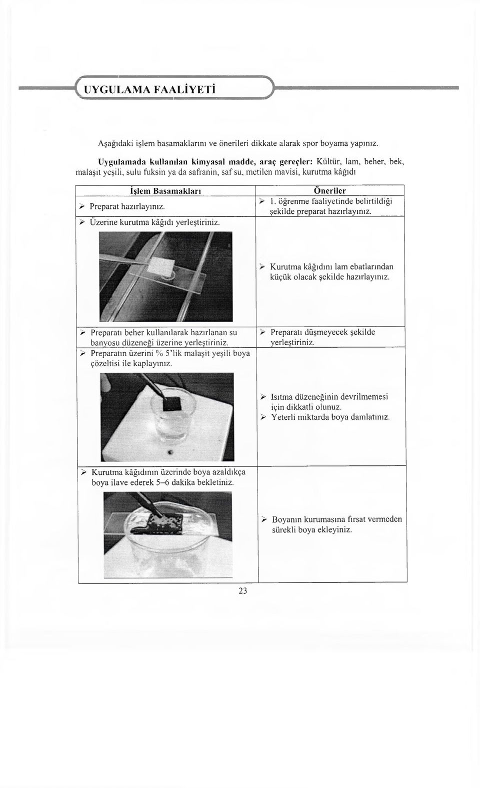 hazırlayınız. > Üzerine kurutma kâğıdı yerleştiriniz. Öneriler 1. öğrenme faaliyetinde belirtildiği şekilde preparat hazırlayınız. Kurutma kâğıdını lam ebatlarından küçük olacak şekilde hazırlayınız.