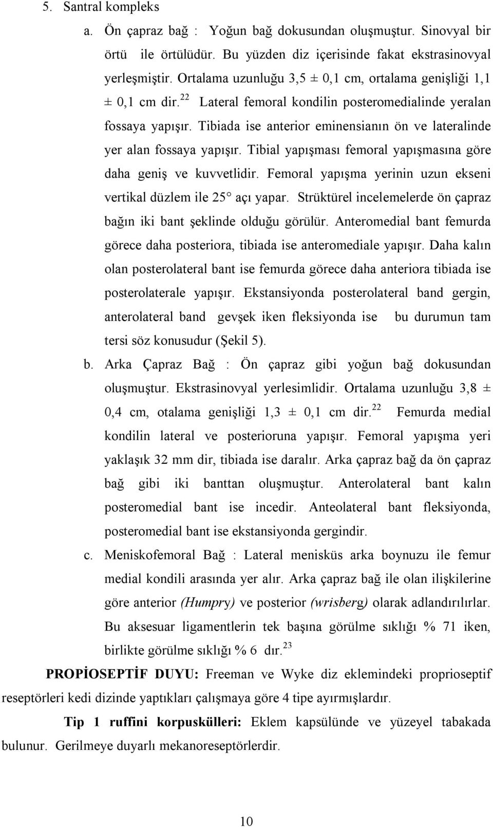 Tibiada ise anterior eminensianın ön ve lateralinde yer alan fossaya yapışır. Tibial yapışması femoral yapışmasına göre daha geniş ve kuvvetlidir.