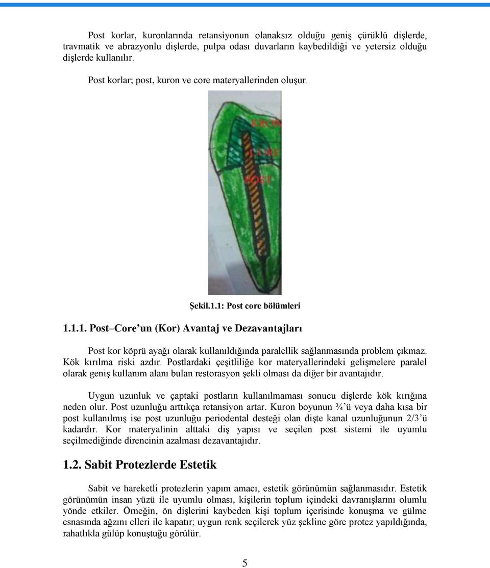 Kök kırılma riski azdır. Postlardaki çeģitliliğe kor materyallerindeki geliģmelere paralel olarak geniģ kullanım alanı bulan restorasyon Ģekli olması da diğer bir avantajıdır.