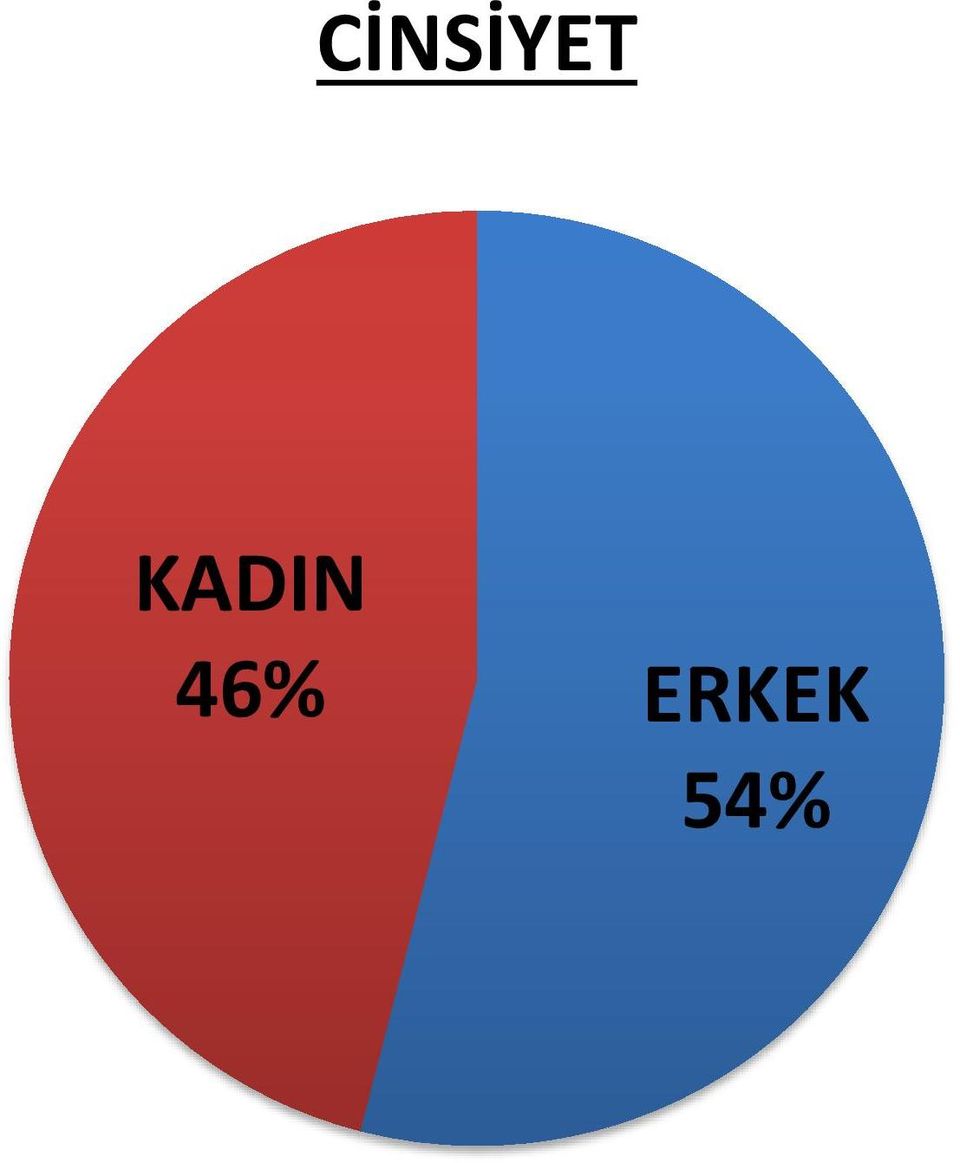 ERKEK 54%