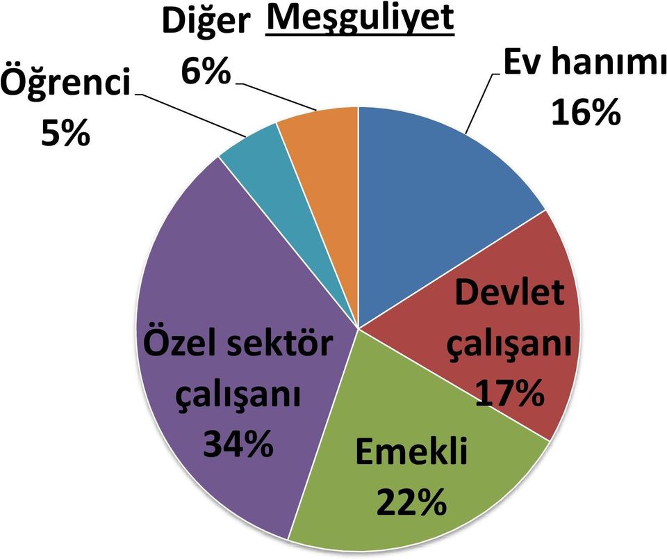 Özel sektör çalışanı 34%