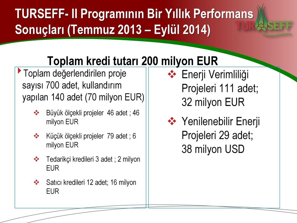 ; 46 milyon EUR Küçük ölçekli projeler 79 adet ; 6 milyon EUR Tedarikçi kredileri 3 adet ; 2 milyon EUR Enerji