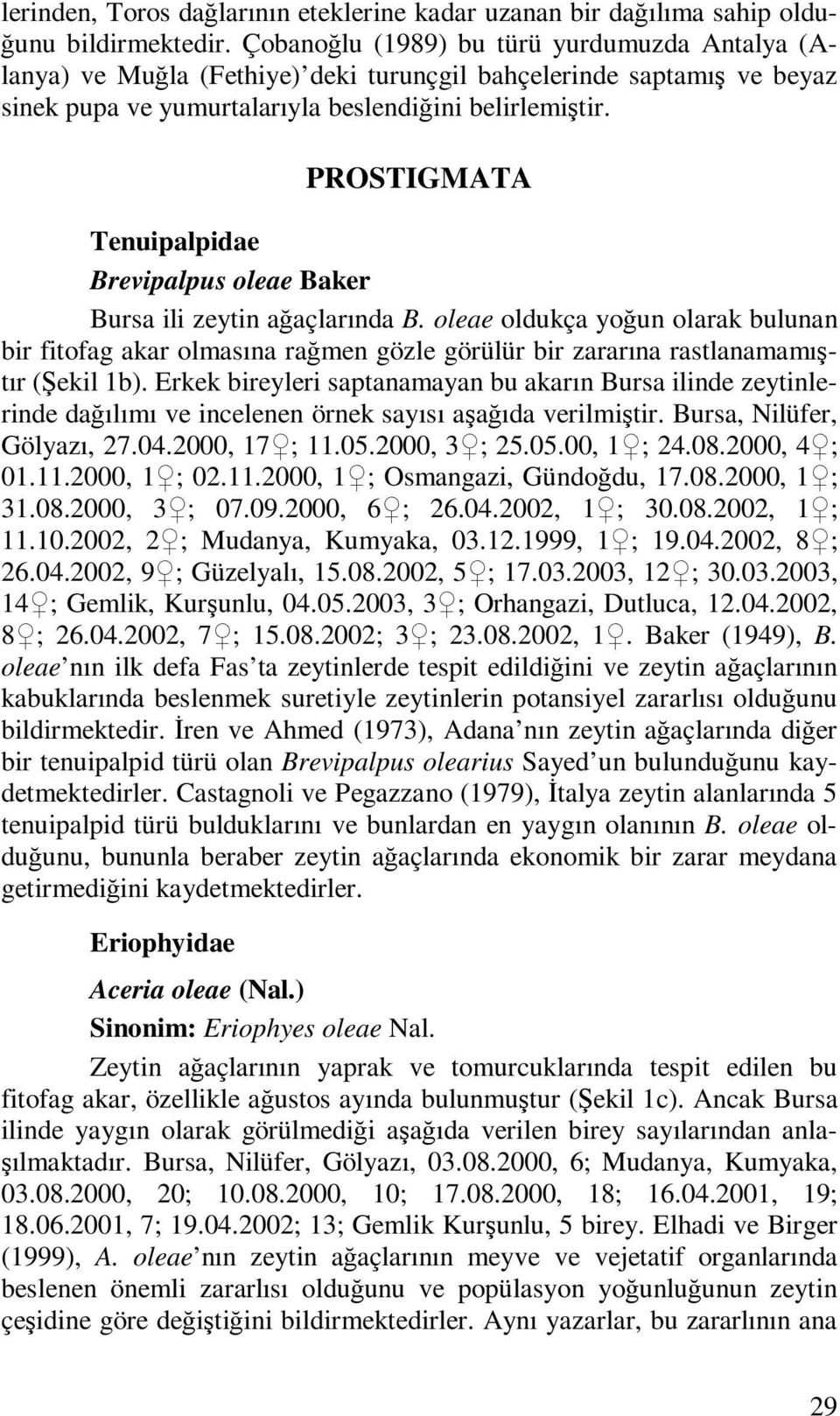 PROSTIGMATA Tenuipalpidae Brevipalpus oleae Baker Bursa ili zeytin ağaçlarında B.