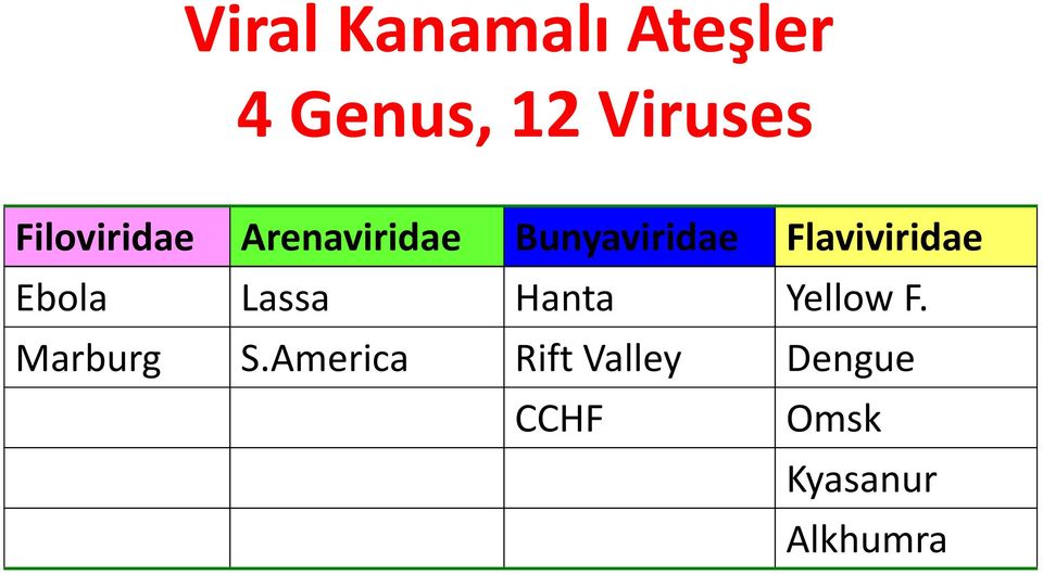 Flaviviridae Ebola Lassa Hanta Yellow F.