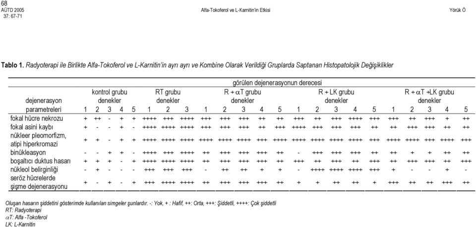 + αt grubu R + LK grubu R + αt +LK grubu dejenerasyon denekler denekler denekler denekler denekler parametreleri 1 2 3 4 5 1 2 3 1 2 3 4 5 1 2 3 4 5 1 2 3 4 5 fokal hücre nekrozu + ++ - + + ++++ +++