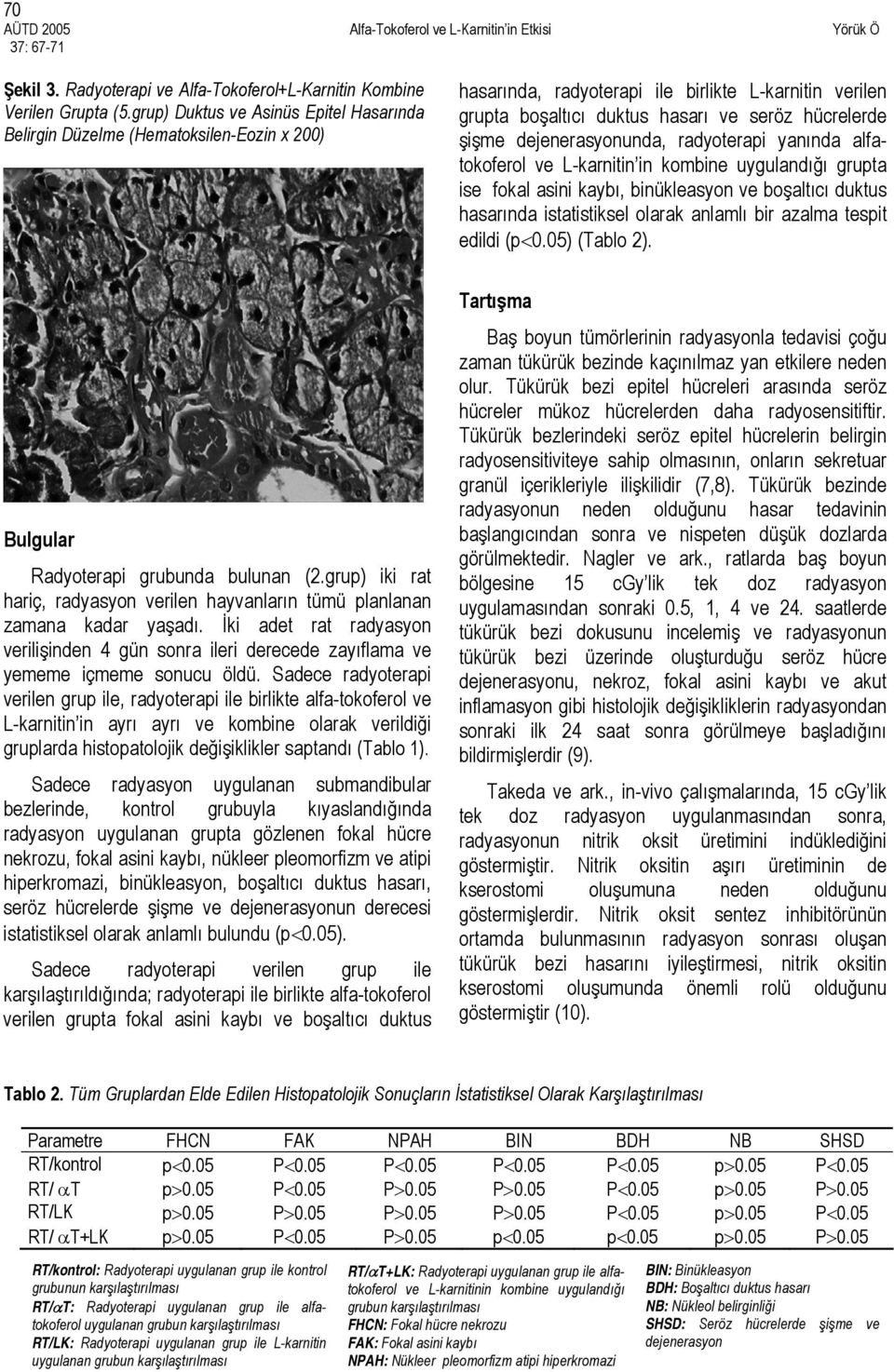 dejenerasyonunda, radyoterapi yanında alfatokoferol ve L-karnitin in kombine uygulandığı grupta ise fokal asini kaybı, binükleasyon ve boşaltıcı duktus hasarında istatistiksel olarak anlamlı bir