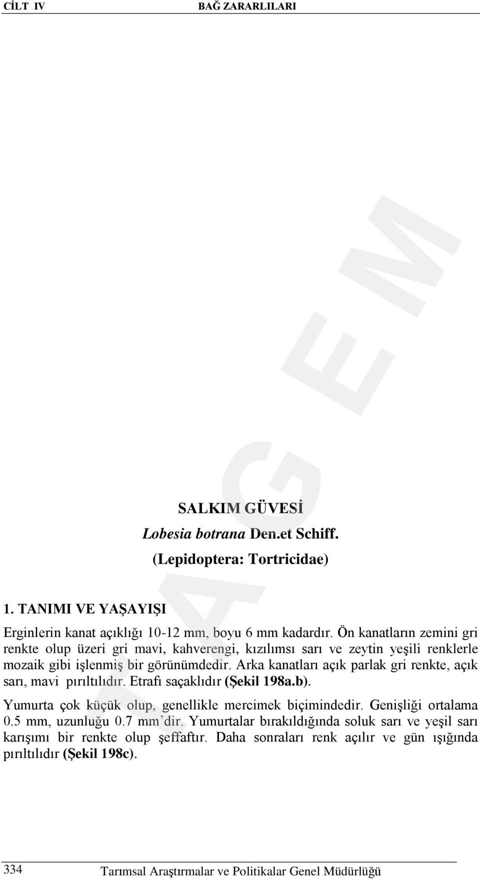 Arka kanatları açık parlak gri renkte, açık sarı, mavi pırıltılıdır. Etrafı saçaklıdır (Şekil 198a.b). Yumurta çok küçük olup, genellikle mercimek biçimindedir. Genişliği ortalama 0.