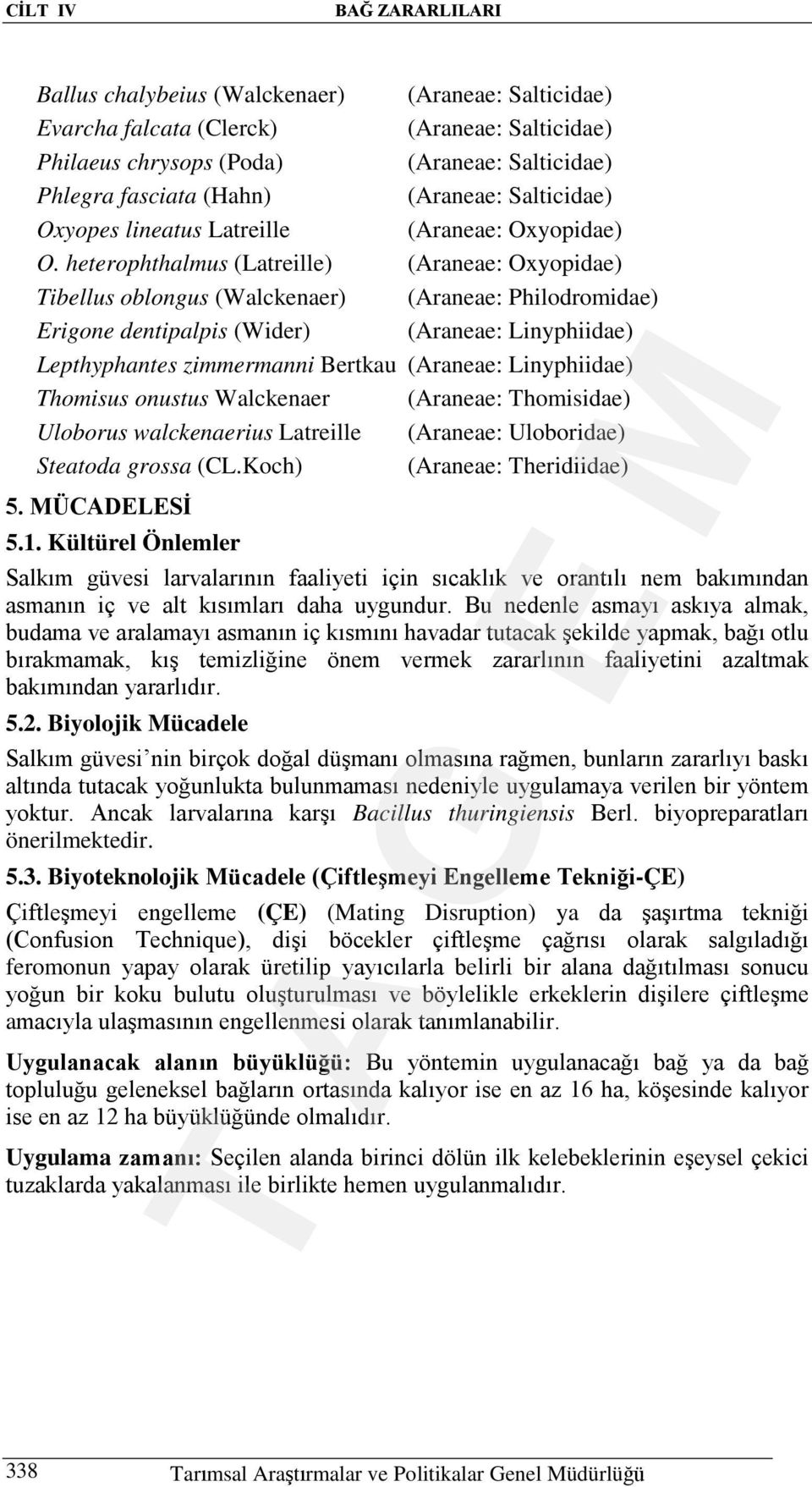 heterophthalmus (Latreille) (Araneae: Oxyopidae) Tibellus oblongus (Walckenaer) (Araneae: Philodromidae) Erigone dentipalpis (Wider) (Araneae: Linyphiidae) Lepthyphantes zimmermanni Bertkau (Araneae: