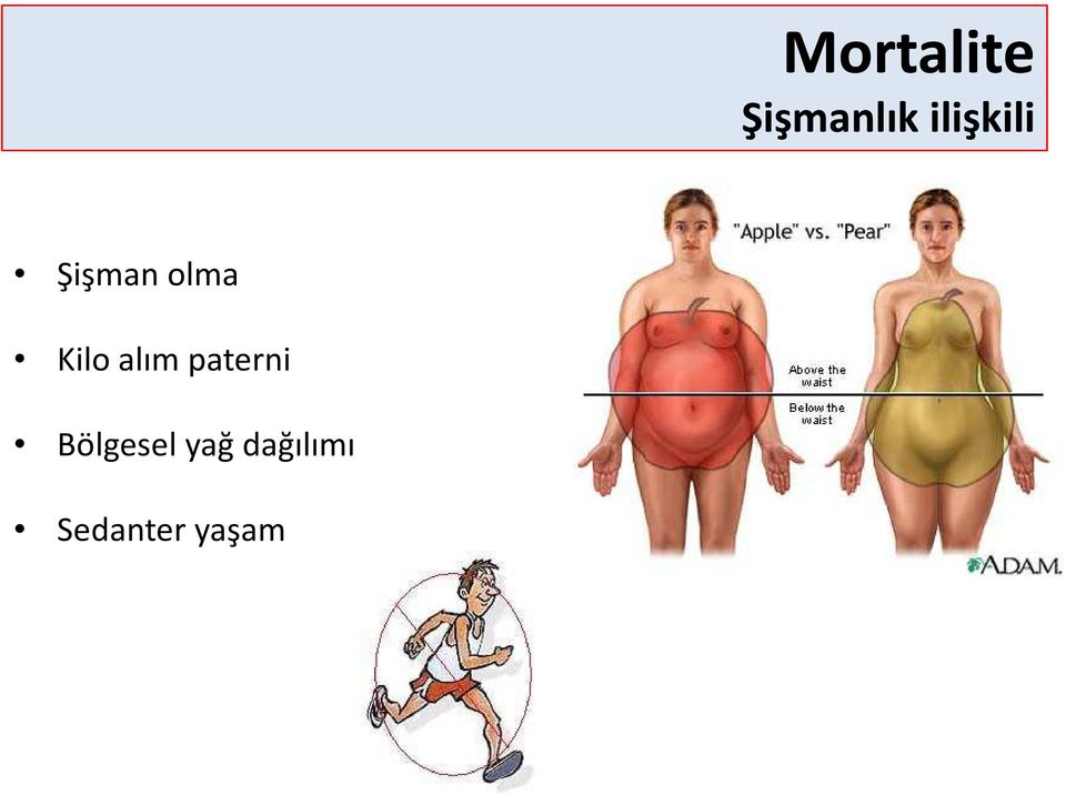 Kilo alım paterni