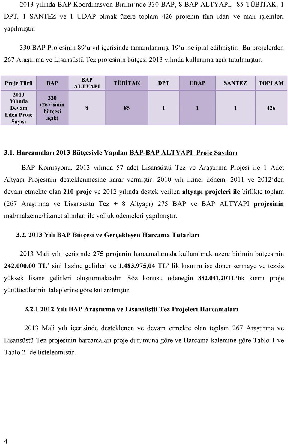 Proje Türü 2013