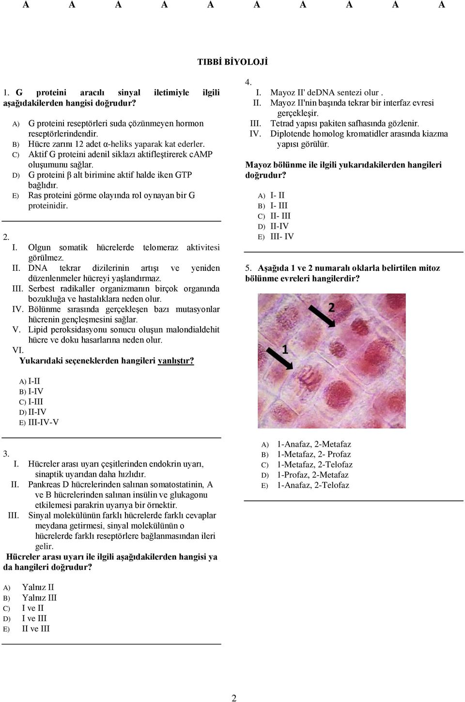 E) Ras proteini görme olayında rol oynayan bir G proteinidir. I. Olgun somatik hücrelerde telomeraz aktivitesi görülmez. II.