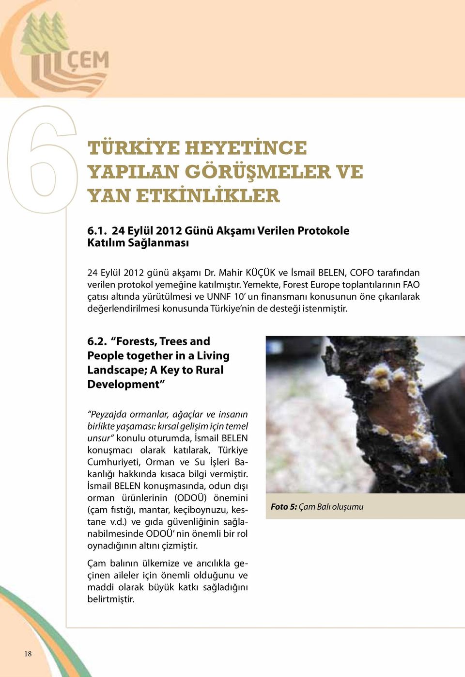 Yemekte, Forest Europe toplantılarının FAO çatısı altında yürütülmesi ve UNNF 10 un finansmanı konusunun öne çıkarılarak değerlendirilmesi konusunda Türkiye nin de desteği istenmiştir. 6.2.